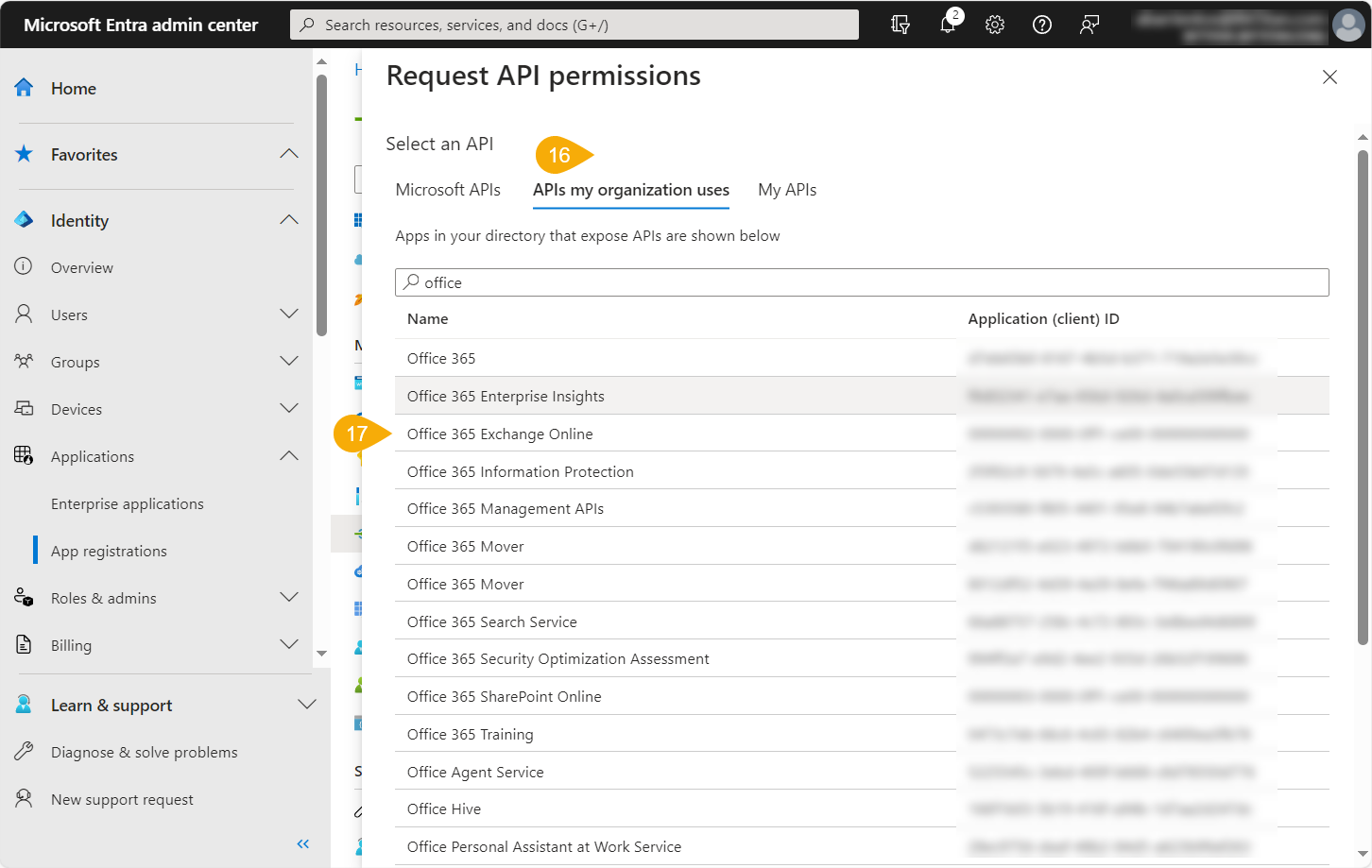 5. Request API permissions.png